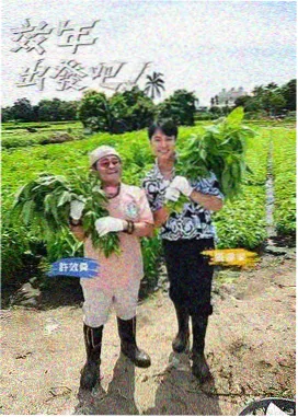 明星大侦探 免费在线